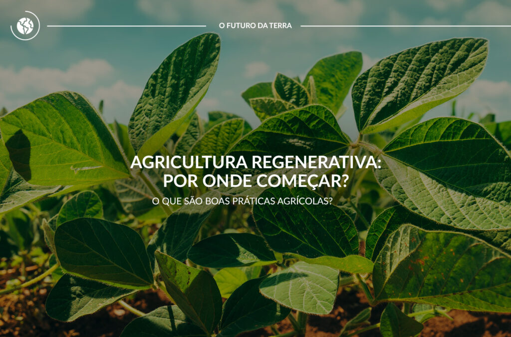 Agricultura regenerativa, por onde começar? O que são Boas Práticas Agrícolas e Agricultura Regenerativa