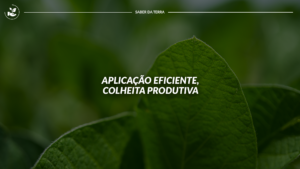 Aplicação eficiente, colheita produtiva