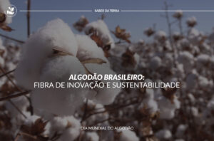 Algodão Brasileiro – Fibra de Inovação e Sustentabilidade