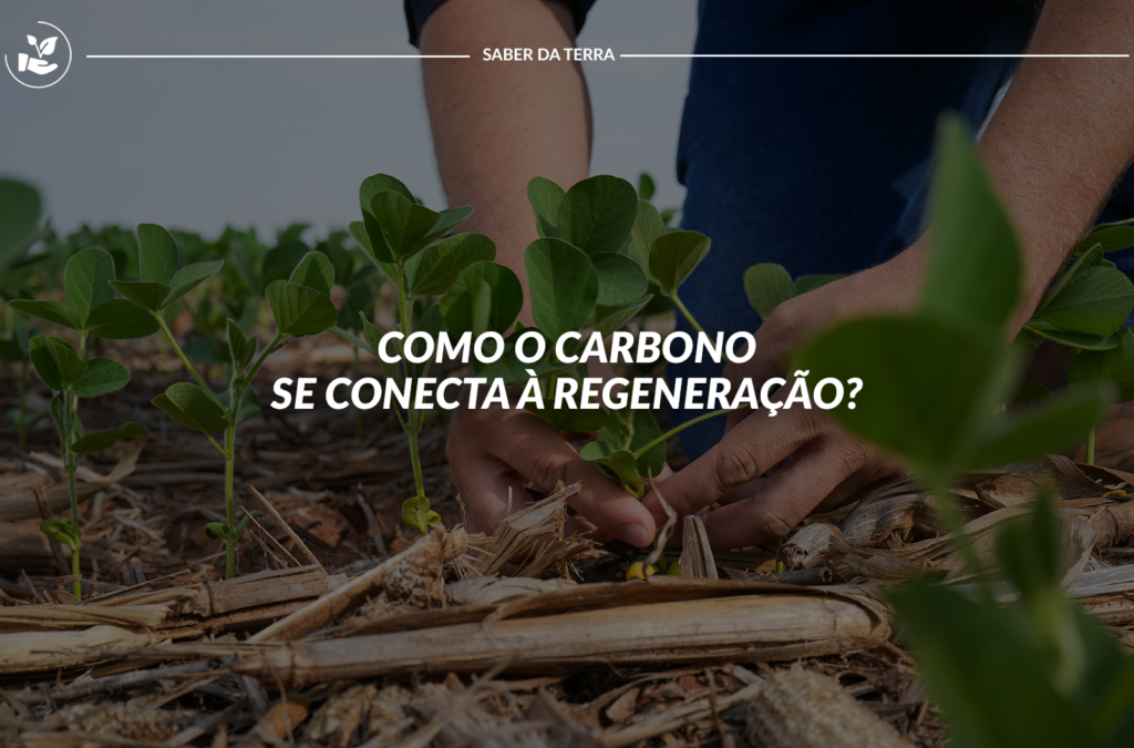 Como o carbono se conecta com a regeneração?