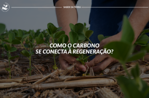 Como o carbono se conecta com a regeneração?