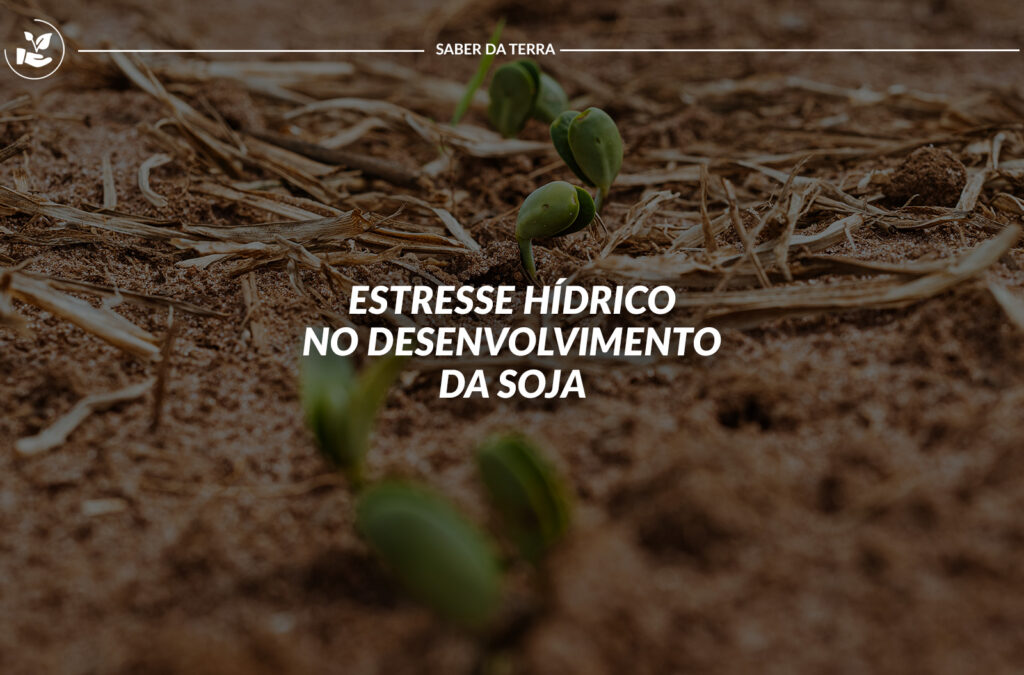 Estresse hídrico no desenvolvimento da soja