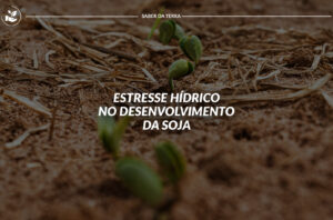 Estresse hídrico no desenvolvimento da soja
