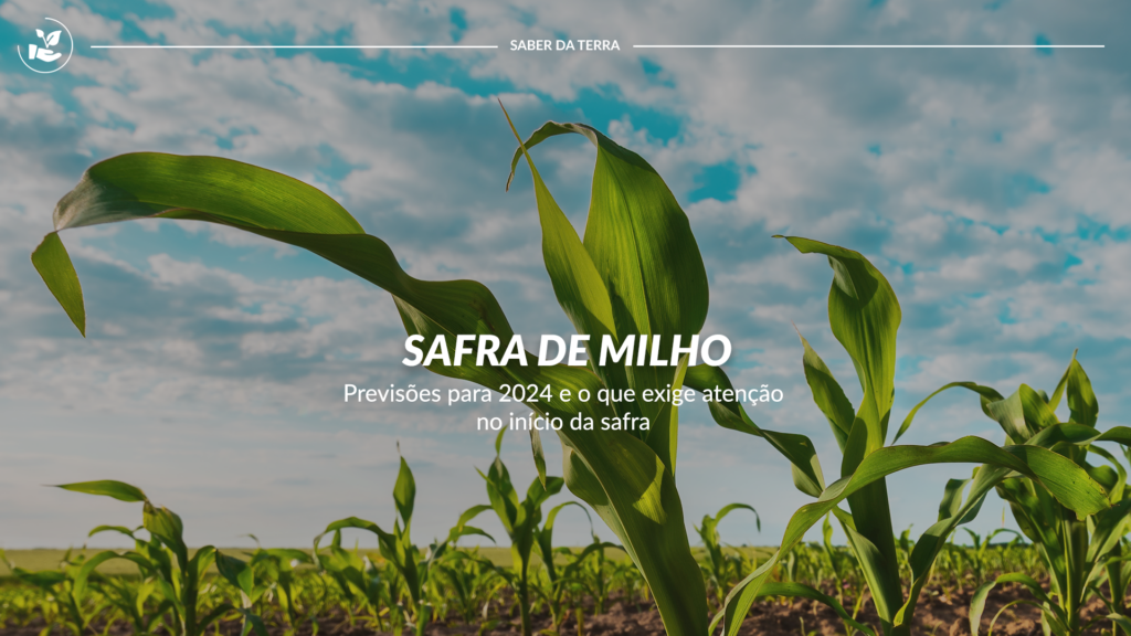 Previsões para 2024 e o que exige a atenção no início da safra de milho