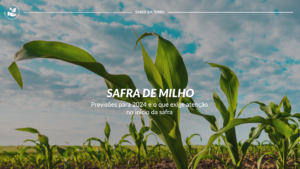 Previsões para 2024 e o que exige a atenção no início da safra de milho