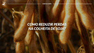 Como reduzir perdas na colheita de soja?