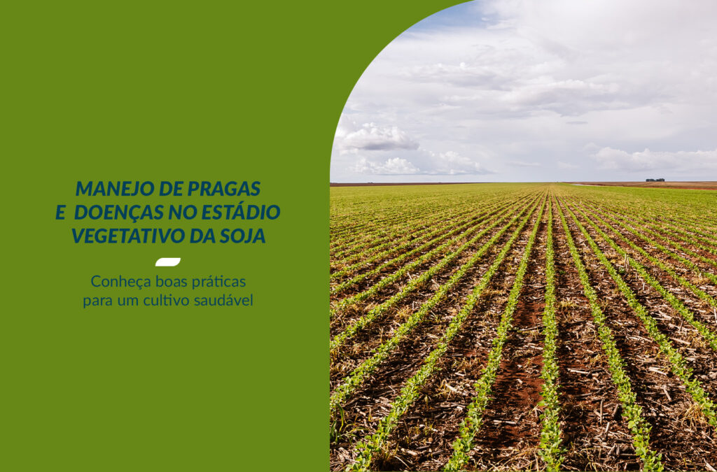 A importância do manejo de pragas e doenças no estádio vegetativo da soja