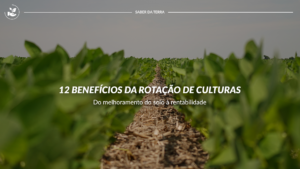 Rotação de culturas: vale a pena?