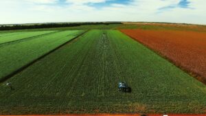 CAMPO & NEGÓCIOS: Primeiro episódio da websérie Rota Regenerativa resgata a história da agricultura brasileira