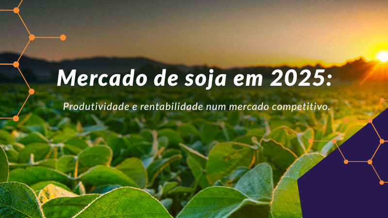 Mercado de soja em 2025: Produtividade e rentabilidade num mercado competitivo