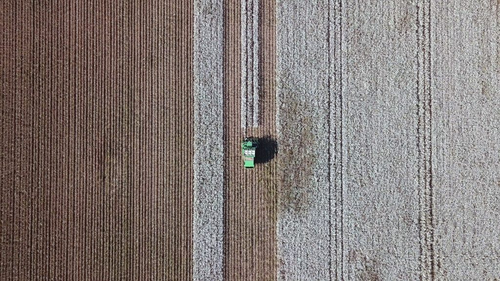 A perspectiva para colheita 2025/2026 é otimista.