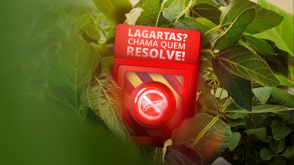 Propose é o inseticida da UPL que combate a lagarta-do-cartucho