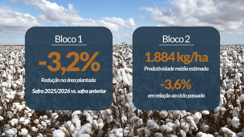 Produção média estimada é de 1.884 kg de pluma por hectare.