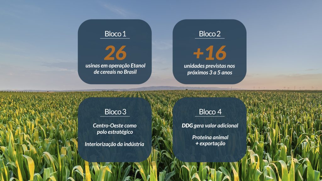 Expansão de usinas e valorização do DDG consolidam o etanol de cereais como eixo estrutural da bioenergia no Centro-Oeste.