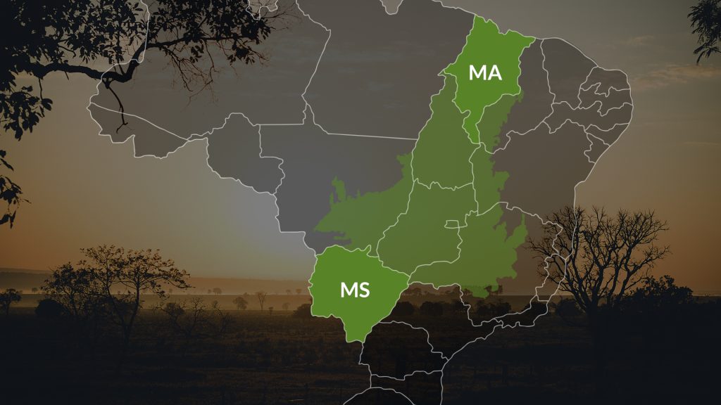 Há potencial superior a 15 milhões de hectares subutilizados na segunda safra entre MS e MA.