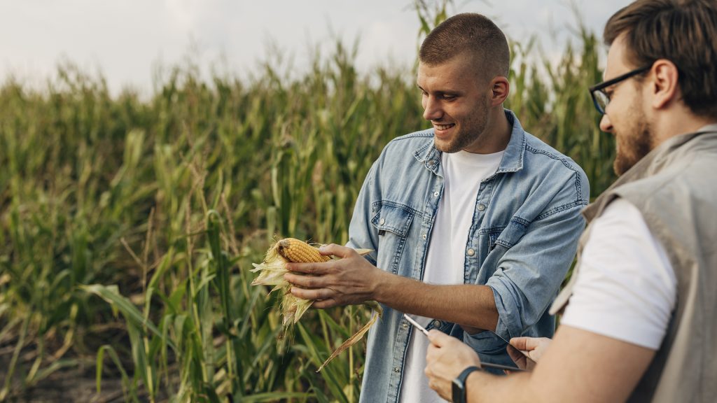 Decisão estratégica integra produção, mercado e gestão de risco.