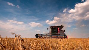 Safra de grãos 2025/26: o que os dados da CONAB indicam