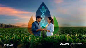 Chegou Ayos Sementes: qualidade para produzir, confiança para evoluir. 